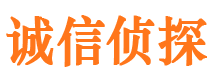 茶陵市私家侦探